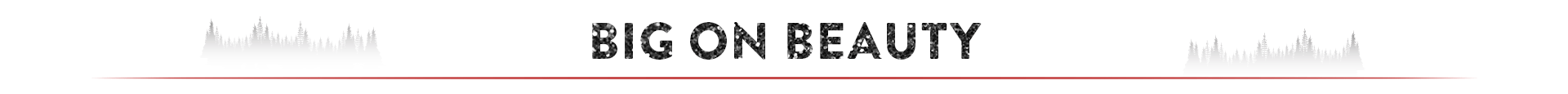 image header