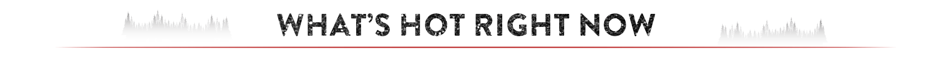 image header